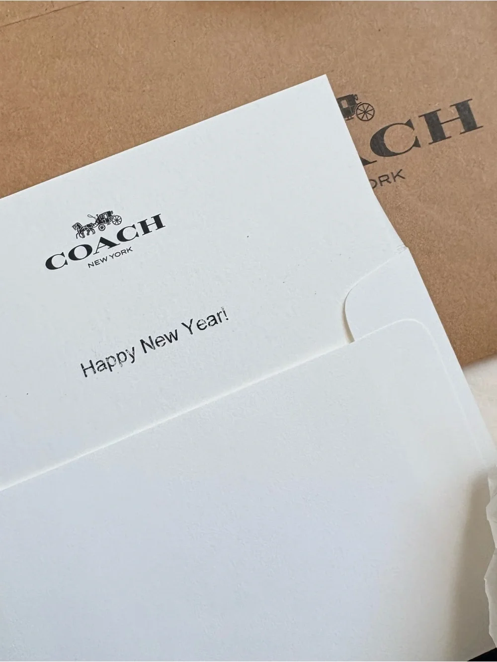 COACH Brown Kraft Gift Bag with Black Box Bundle 3